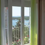 Danijela Σίμπενικ