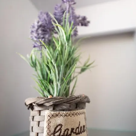 Apartament Danijela *