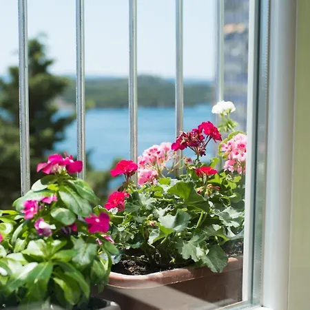 Apartament Danijela *