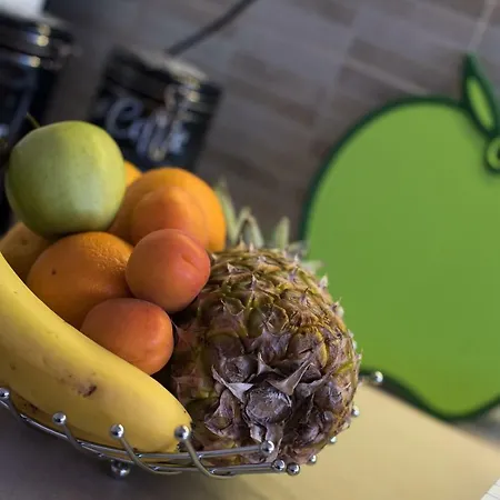 Danijela 아파트 *