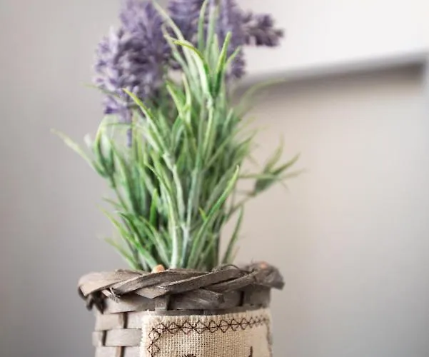 Apartamento Danijela *