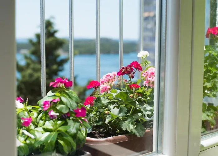 Апартаменты Danijela *